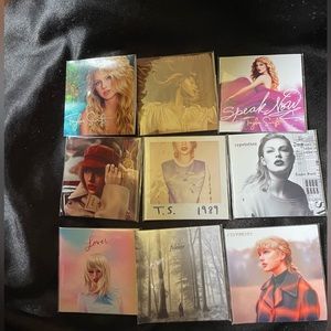 Taylor Swift Mini Vinyl Pockets